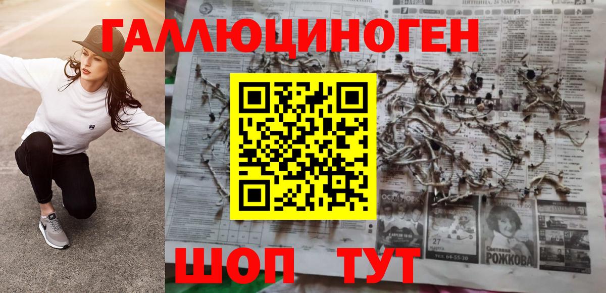 Псилоцибиновые грибы Cubensis  Вход с VPN  Медногорск 